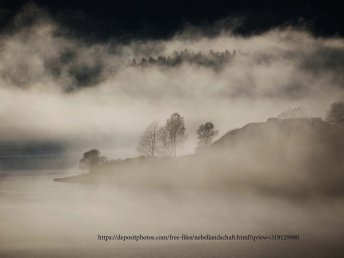 Wanderung mit Sauschwänzlebahn und Donauquelle im Schwarzwald