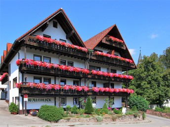 Wanderung mit Sauschwänzlebahn und Donauquelle im Schwarzwald