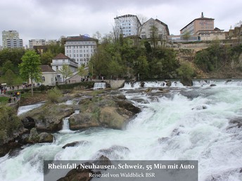 Wanderung mit Sauschwänzlebahn und Donauquelle im Schwarzwald