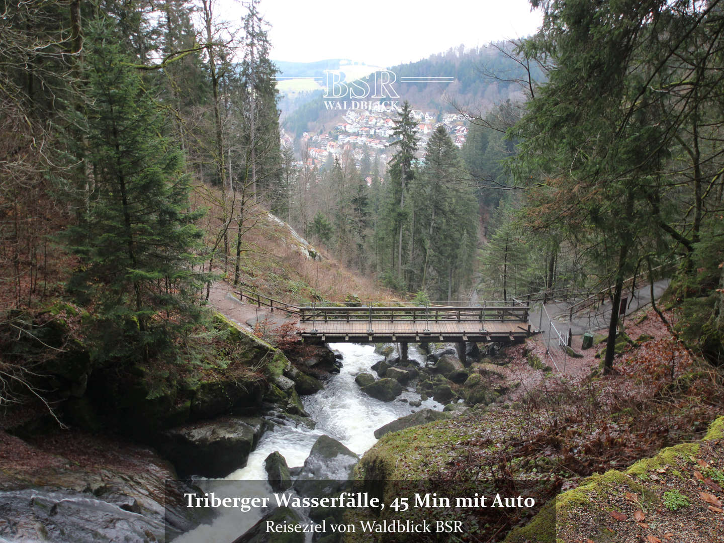 Wanderung mit Sauschwänzlebahn und Donauquelle im Schwarzwald