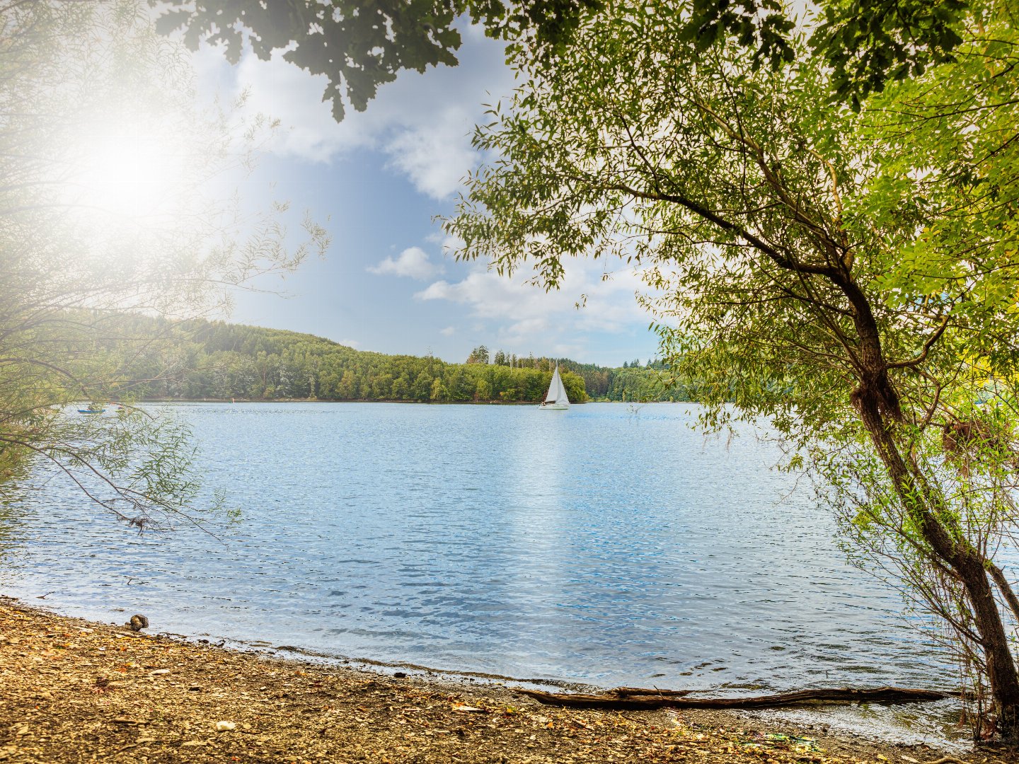 Feiertage im Repetal - 4 Tage Kurzurlaub im Sauerland + Abenddinner - Fronleichnam 