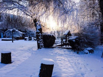 Bild 27 von 28