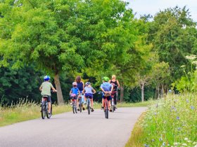Aktivurlaub in der Feldberger Seenlandschaft