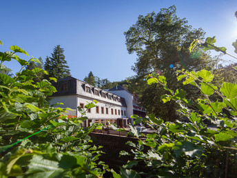 Wanderauszeit am Eifelsteig inkl. HP | 4 Tage