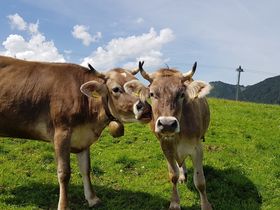 4 Tage Familienspaß