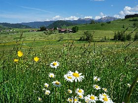 Stippvisite in Oberstaufen