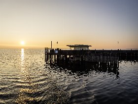 Goldene Herbsttage am Bodensee