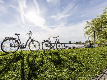 Blütenzauber am Bodensee