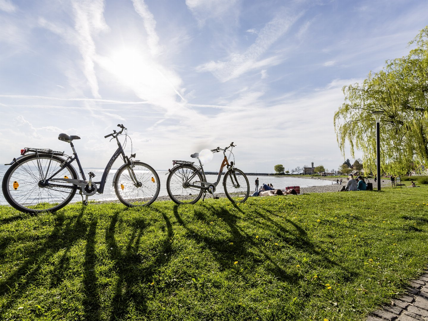 Blütenzauber am Bodensee