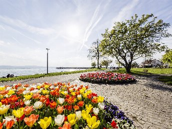 Blütenzauber am Bodensee