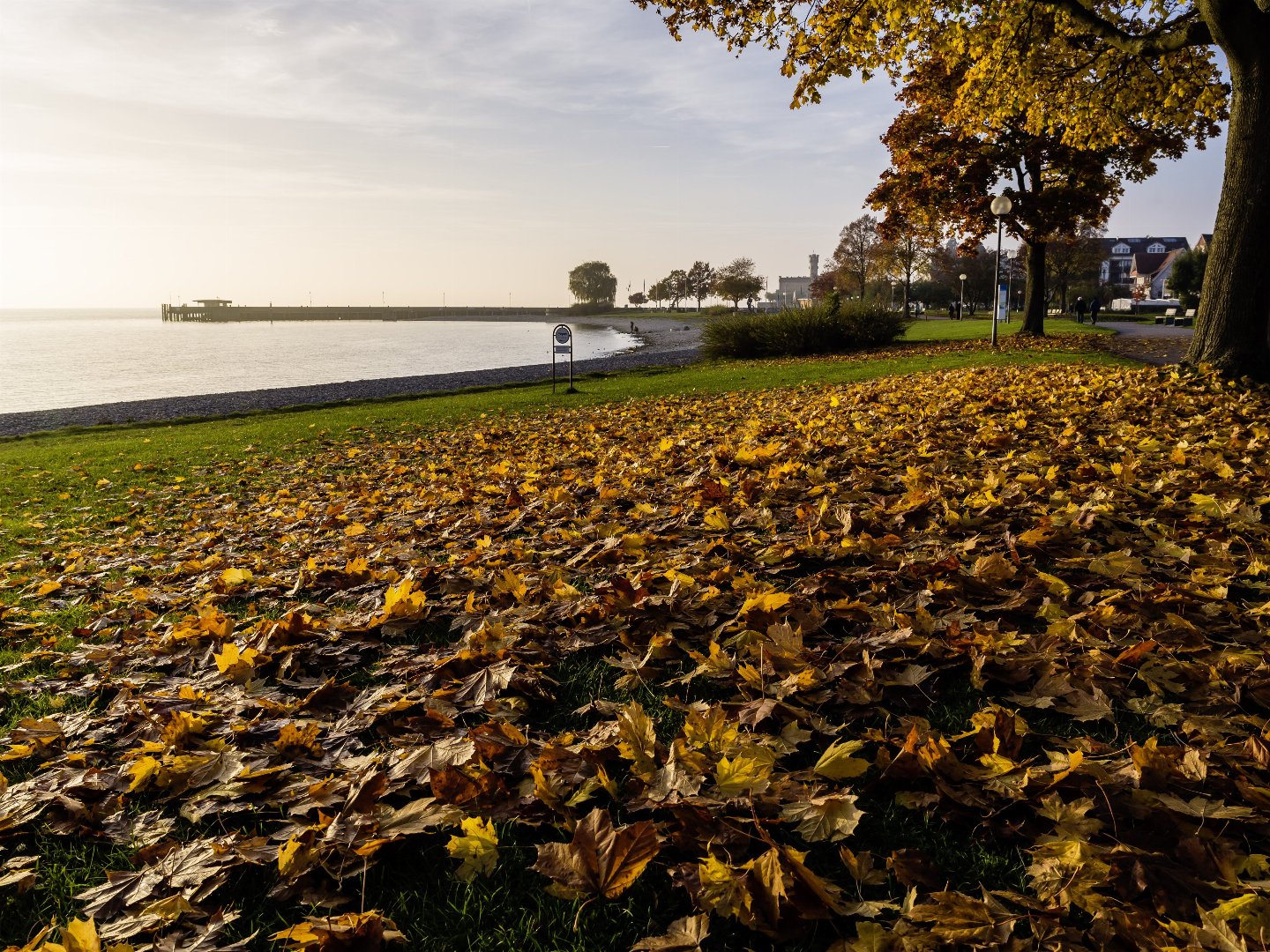Blütenzauber am Bodensee