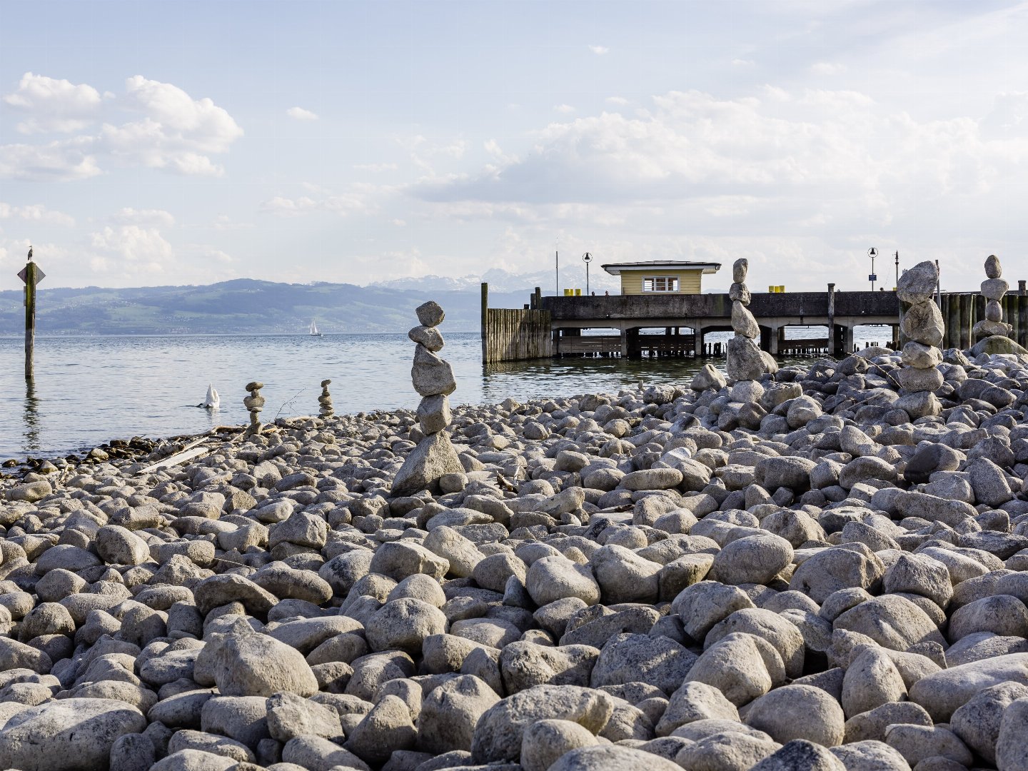 Blütenzauber am Bodensee