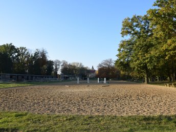 Reit in den Mai - für Kids, Anfänger oder erfahrene Reiter