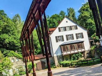 Romantische Nacht im Silberbachtal im Teutoburger Wald