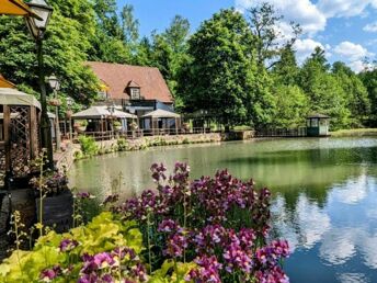 Romantische Nacht im Silberbachtal im Teutoburger Wald