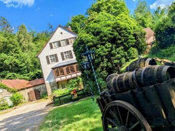Romantische Nacht im Silberbachtal im Teutoburger Wald