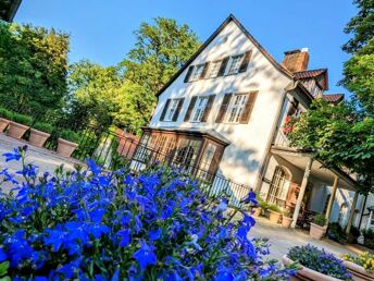 Romantische Nacht im Silberbachtal im Teutoburger Wald