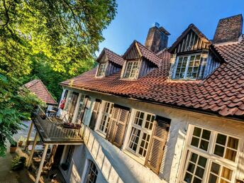Romantische Nacht im Silberbachtal im Teutoburger Wald