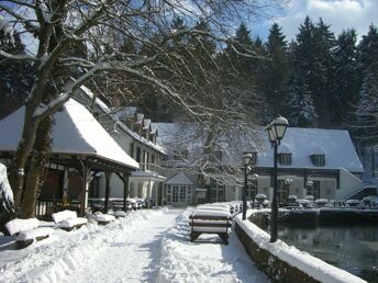 Romantische Nacht im Silberbachtal im Teutoburger Wald