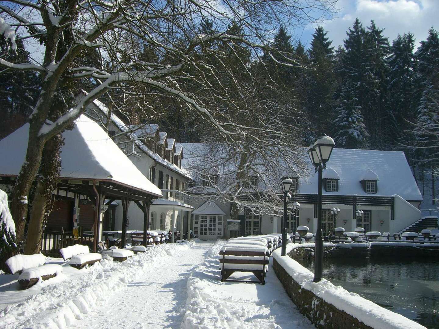Romantische Nacht im Silberbachtal im Teutoburger Wald