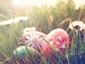 Ostern im Ei - 4 Tage im Sauerland