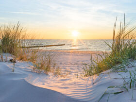 3 Tage entspannen auf dem Darß inkl. 1 x Abendessen
