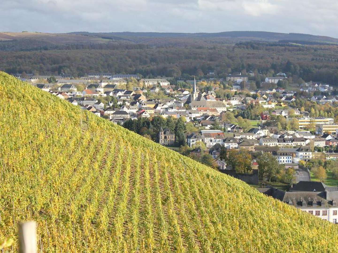 Dem Alltag geb ich frei! 6 Tage an Saar & Mosel