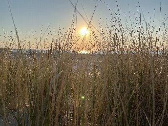 Last Minute an die Ostsee