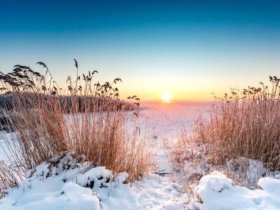 Ihre kleine Auszeit auf der Insel Usedom