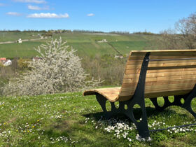 Entspannung Pur - Urlaubswoche im grünen Frankenland