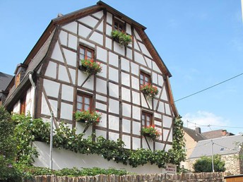 Romantische Natur-Auszeit an der Mosel 