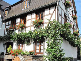 Schnäppchen!! 4 Tage Kurzurlaub an der Mosel inkl. Moselsecco & Vesperplatte