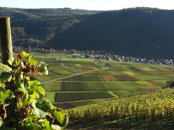 Romantische Natur-Auszeit an der Mosel 