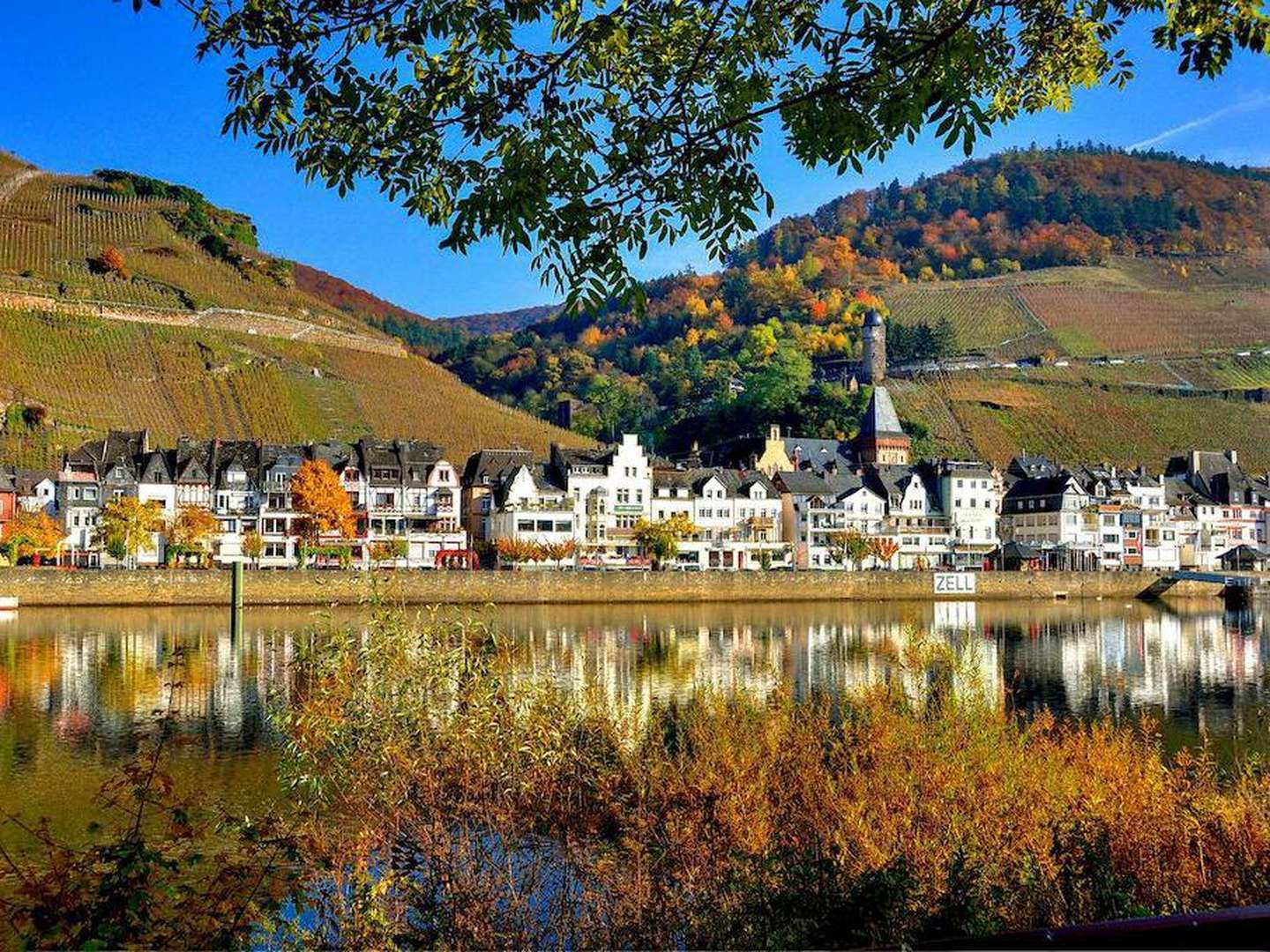 Romantische Natur-Auszeit an der Mosel 