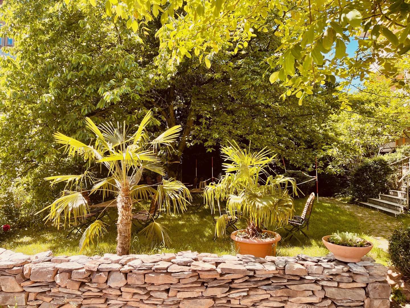 Romantische Natur-Auszeit an der Mosel 