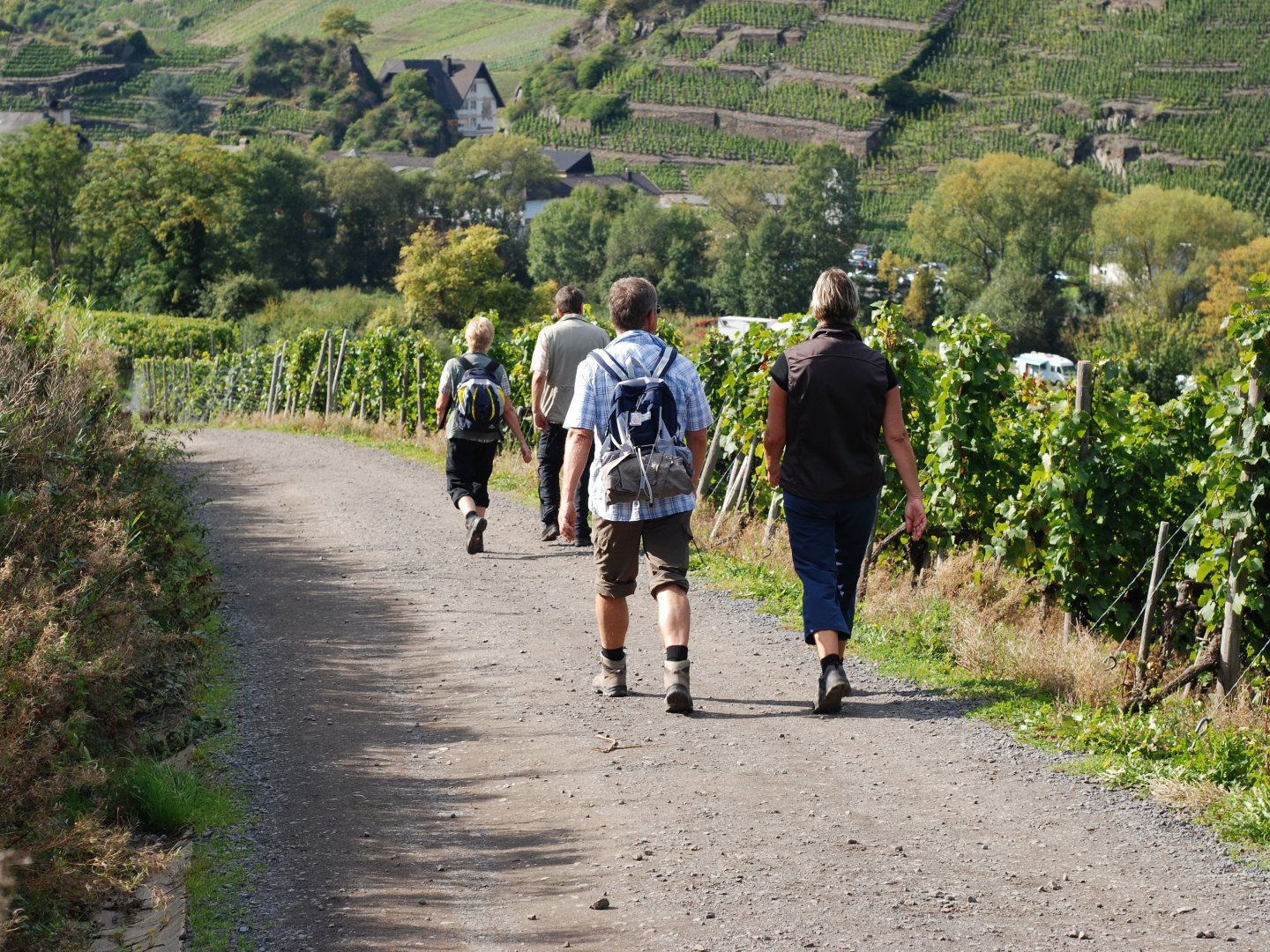 3 Tage entspannter Wanderurlaub an der Mosel  