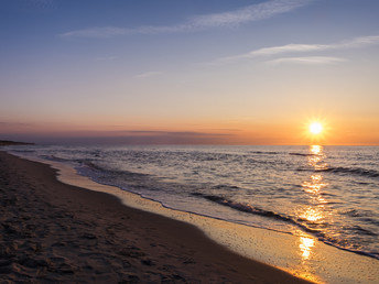 Bild 8 von 30