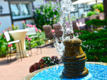 Wandertage in der Pfalz inkl. HP, Wein und Lunchpaket