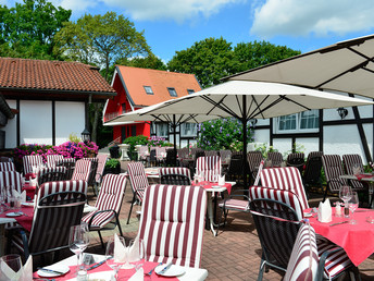 Wandertage in der Pfalz inkl. HP, Wein und Lunchpaket