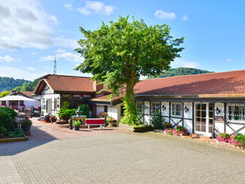 Wandertage in der Pfalz inkl. HP, Wein und Lunchpaket