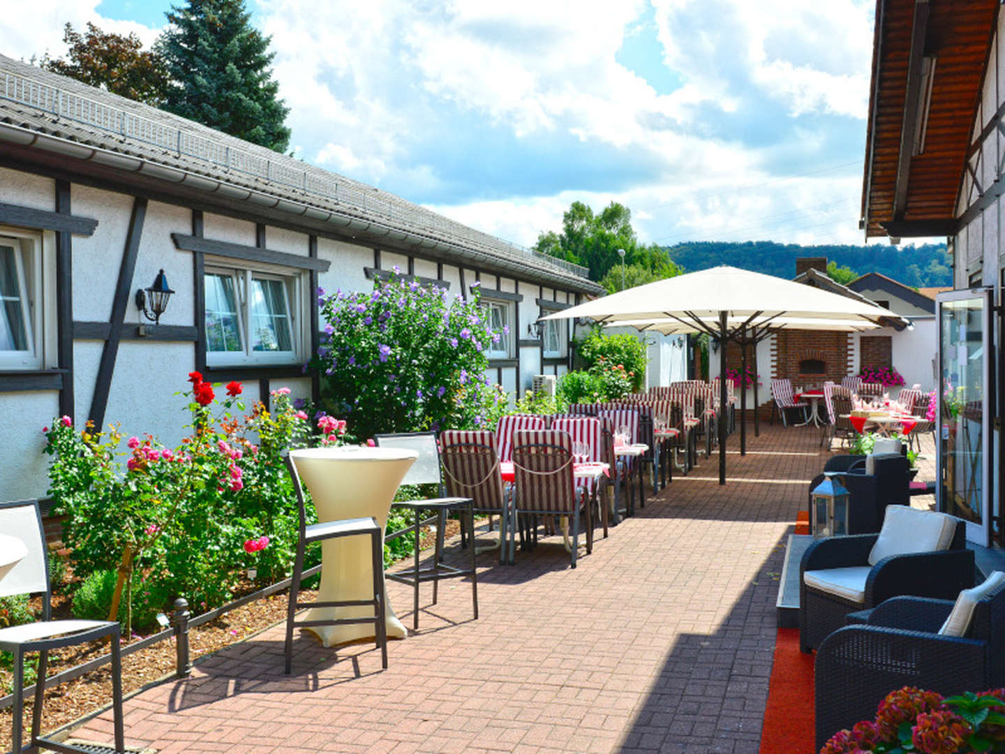 Wandertage in der Pfalz inkl. HP, Wein und Lunchpaket