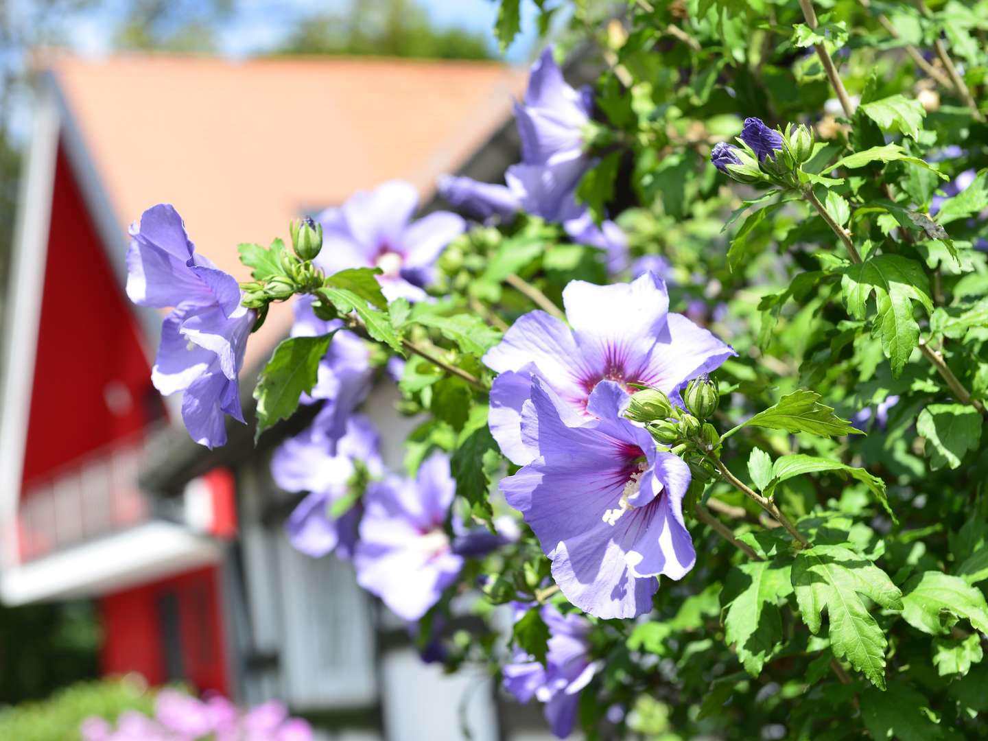 Wandertage in der Pfalz inkl. HP, Wein und Lunchpaket