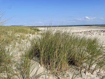 Schnupperaufenthalt auf der Ostfriesischen Insel Borkum