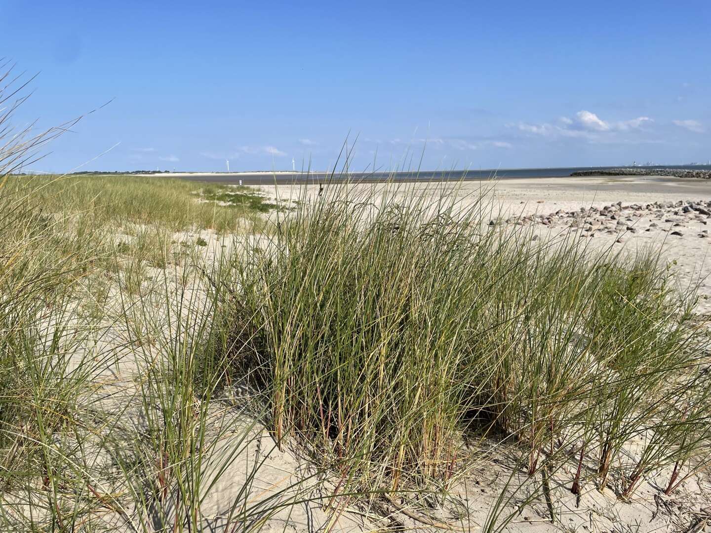 Schnupperaufenthalt auf der Ostfriesischen Insel Borkum
