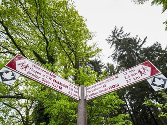 Sommerzeit in der Teutoburger Wald Region im Ringhotel Landhotel Buller | 2 Nächte