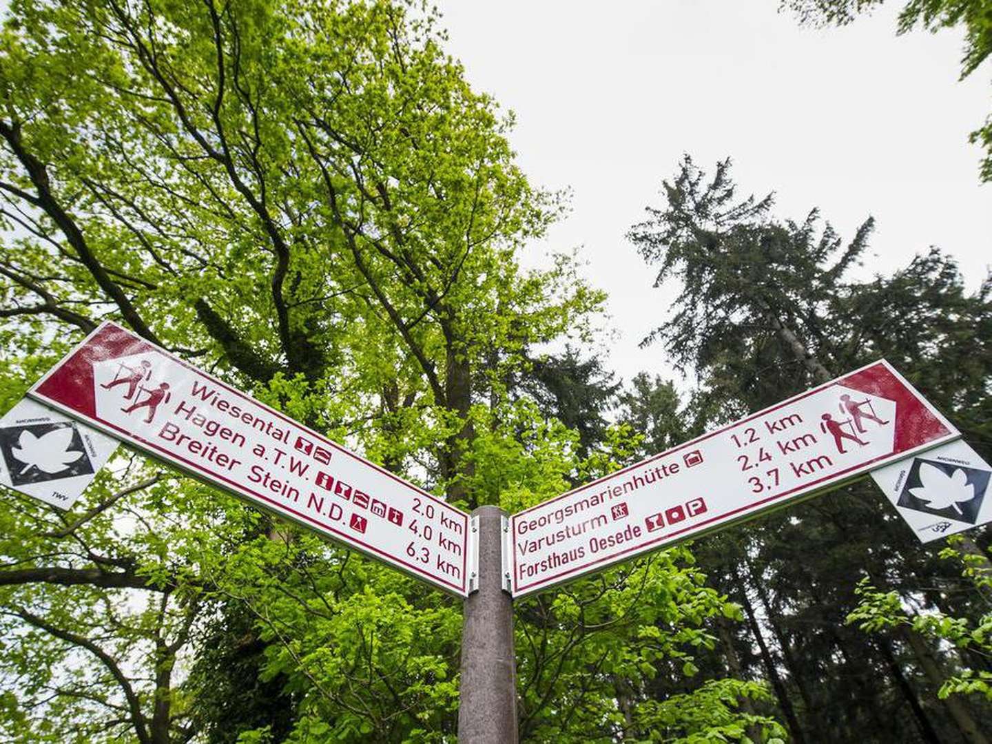 Sommerzeit in der Teutoburger Wald Region im Ringhotel Landhotel Buller | 2 Nächte