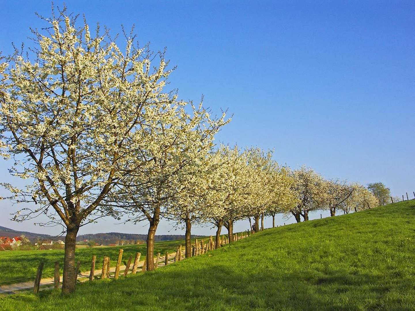 Sommerzeit in der Teutoburger Wald Region im Ringhotel Landhotel Buller | 2 Nächte