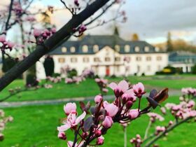  Love is all you need - 2 romantische Tage im Rheinland