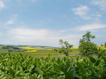 Bild 20 von 33
