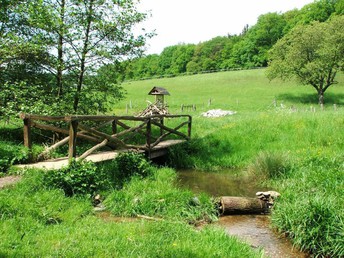 Bild 25 von 33